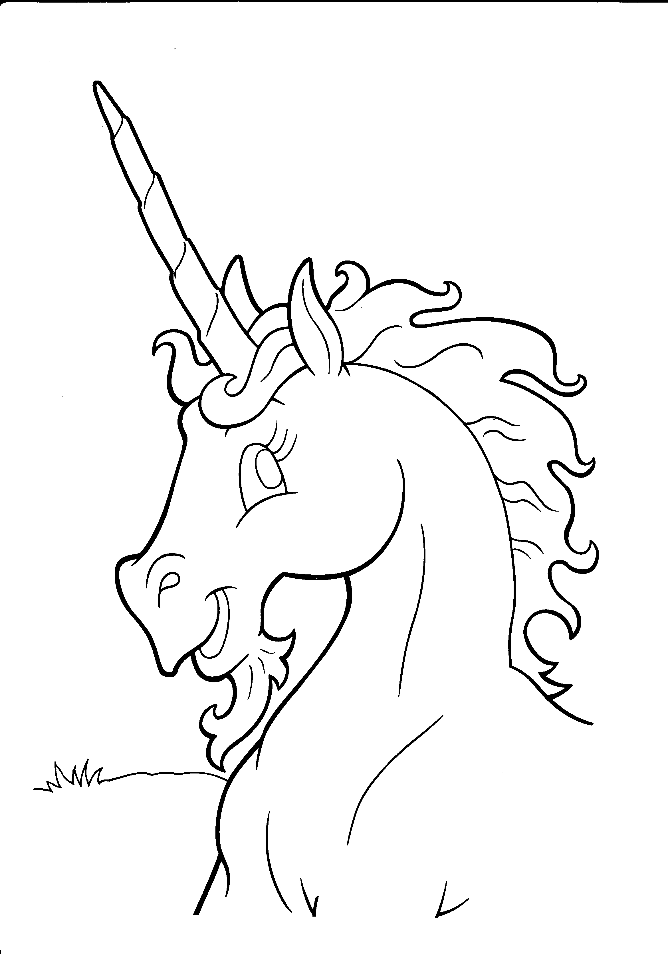 Jednorożec, pegaz kolorowanki